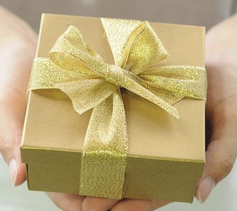 Lisa B demonstrating eXp Australia real estate system-in-a-box tools